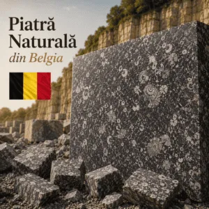 Piatră naturală din Belgia cu aspect distinctiv și textură autentică, prezentată sub formă de placă și blocuri decorative pentru amenajări elegante.